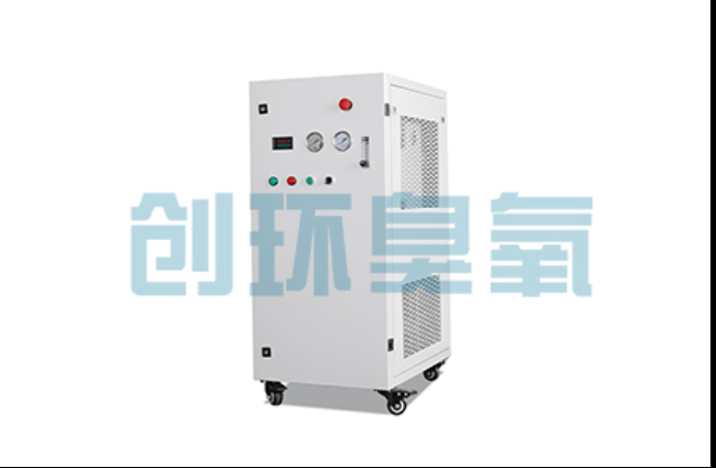新余工厂化养鲈必看:2026年臭氧发生器替代传统消毒的最新方案