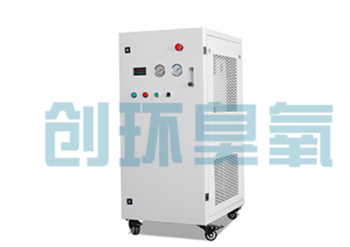 新余石斑鱼养殖水质调控完整指南:臭氧发生器配置与操作步骤