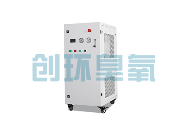 新余2026年石斑鱼养殖新趋势:为什么高密度循环水必须配备臭氧发生器?