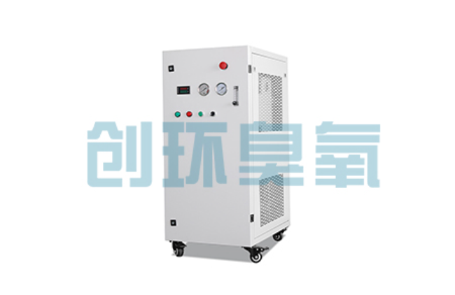 新余比传统换水更高效?臭氧发生器在石斑鱼养殖中的水质净化原理解析